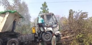 अनियंत्रित टेलर पेड़ से टकराने पर लगी आग, ड्राइवर ने केबिन से भागकर बचाई अपनी जान