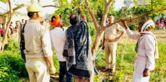 संदिग्ध परिस्थिति में पेड़ से लटकता मिला युवक का शव ,गांव में सनसनी