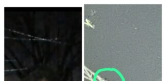 प्रेमिका से विवाद करने के बाद प्रेमी चढ़ा बिजली टॉवर पर