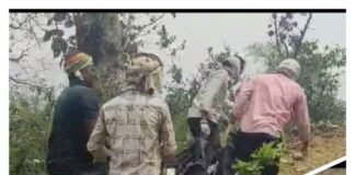 गेहूं के खेत में मिला अधेड़ महिला का शव